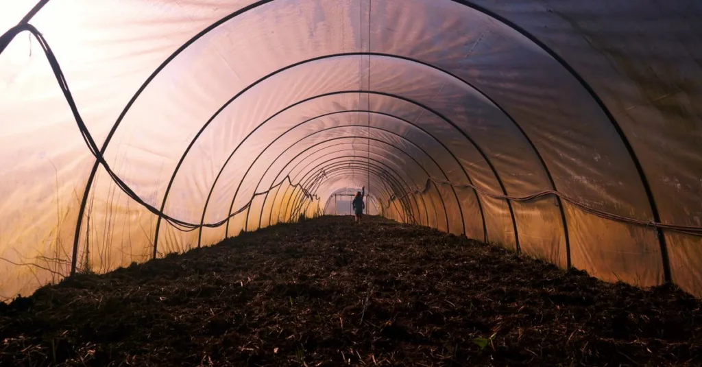 découvrez l'agriculture écologique innovante : des méthodes durables pour préserver la nature tout en augmentant la productivité.